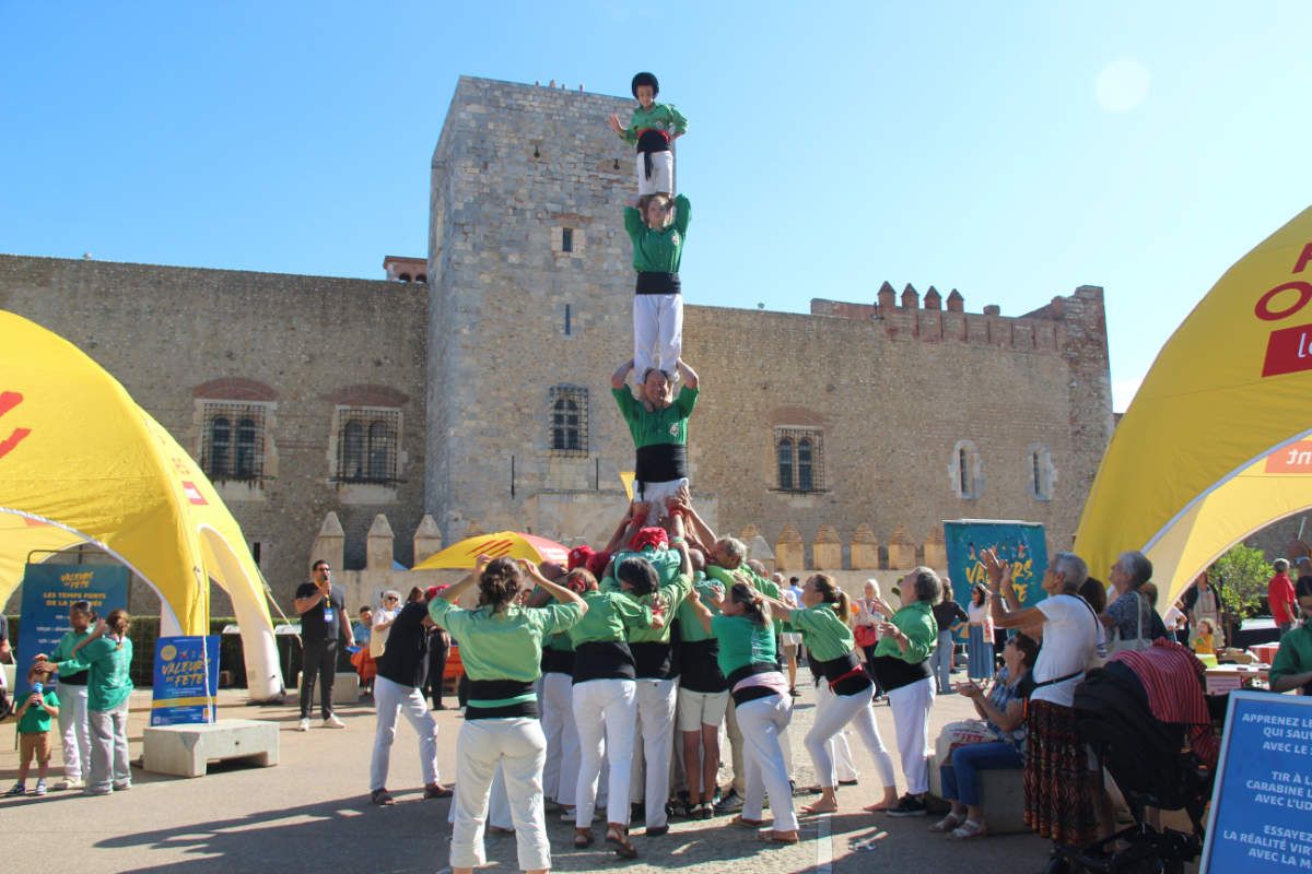 Falcons al Castell Reial