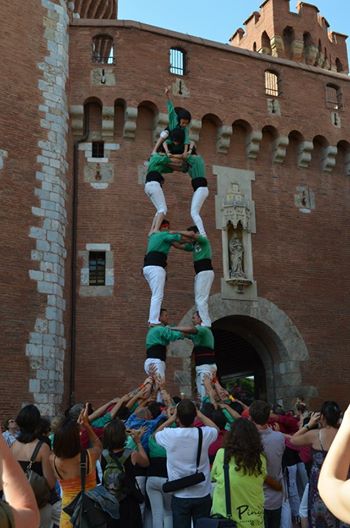 torrede6