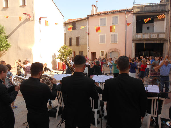 ds sardanes