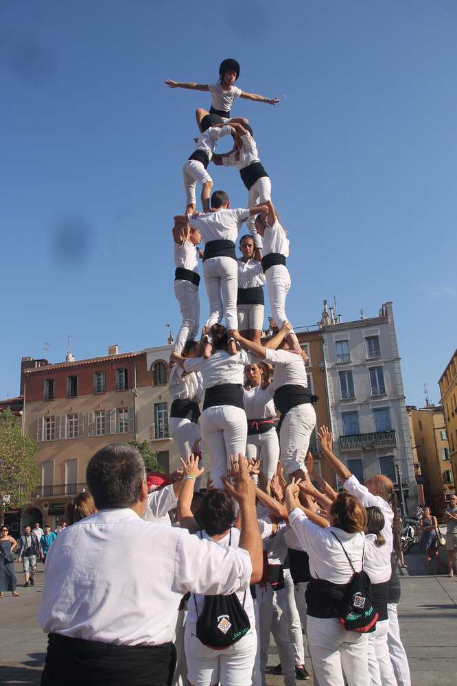 DAP 4de6