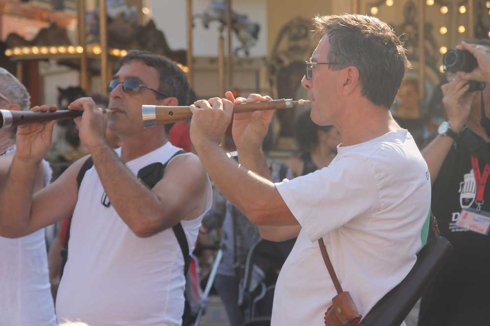 DAP gralles2