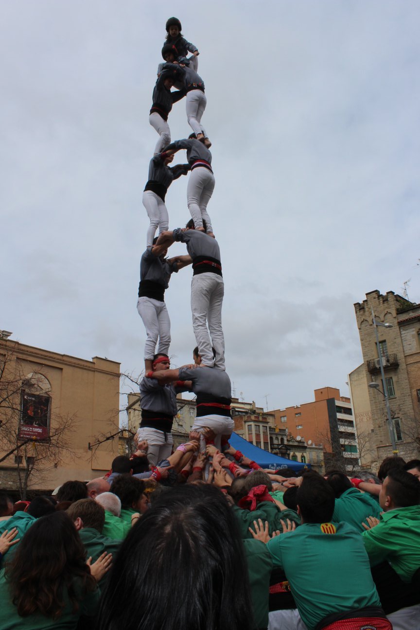 Torrede7