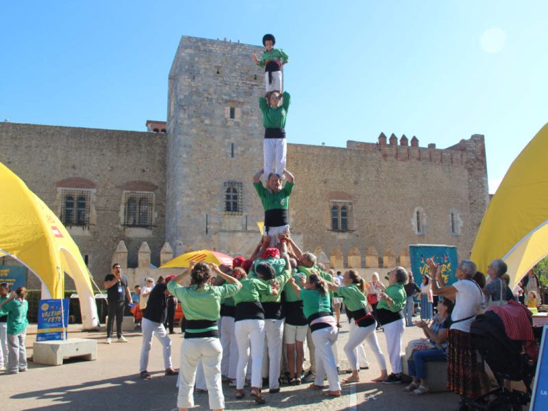 Falcons al Castell Reial