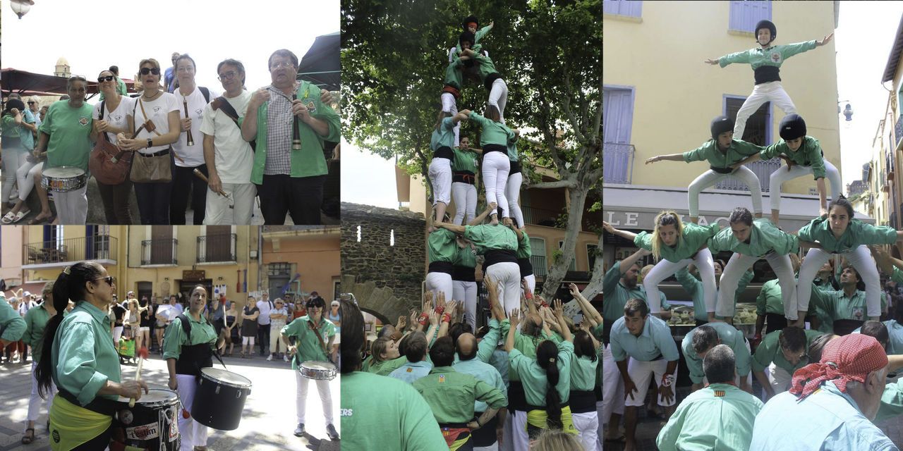 Castells i falcons a Cotlliure