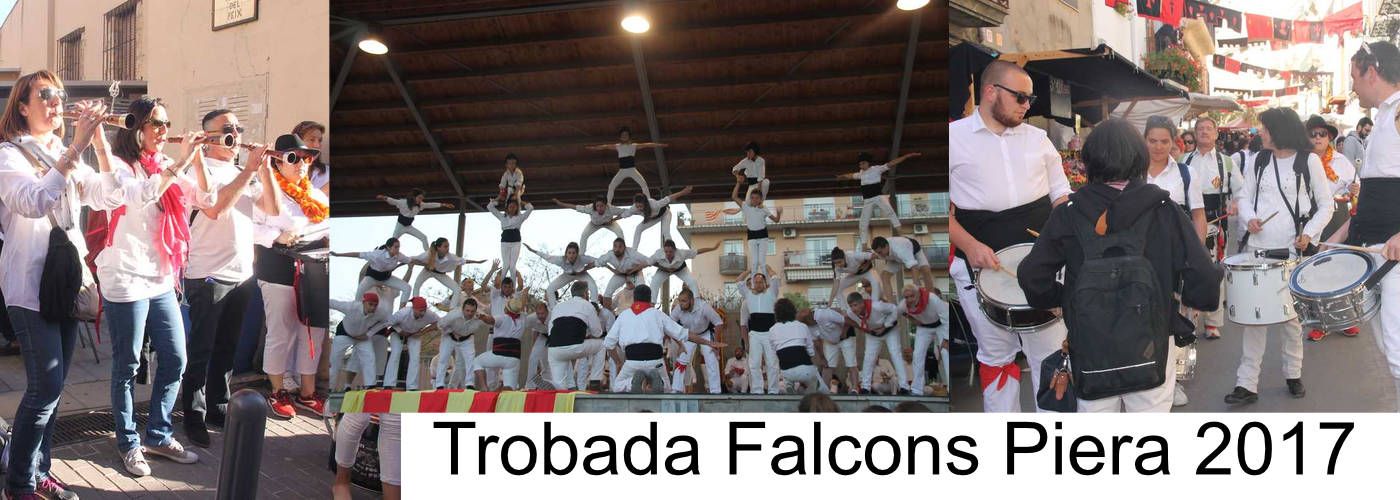 Trobada Nacional de Falcons